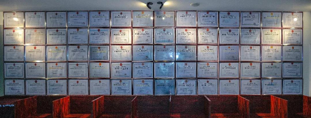 約車|叫車|打車|合伙人|網約車|萬順叫車|萬順叫車官網