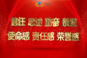 中國出租汽車產業(yè)聯盟致函國務院整治非法網約車運營亂象