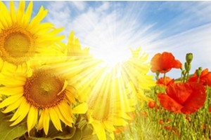 正能量傳送門：萬順叫車合伙人，拾金不昧暖人心